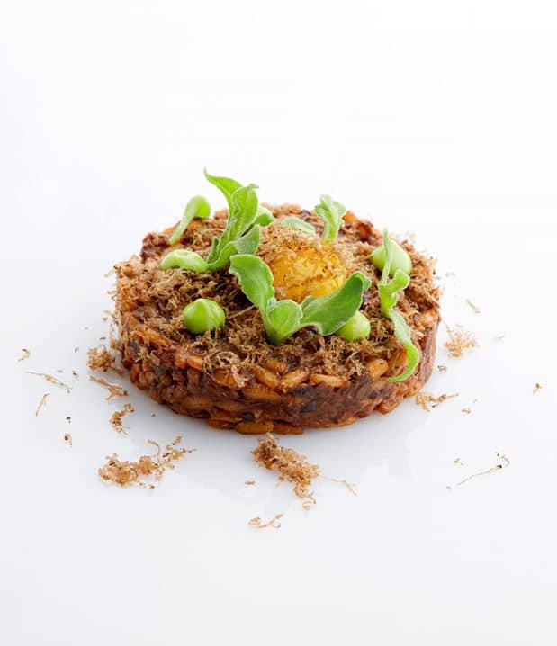 Sugarra_ARROZ_DE_RABO_DE_BUEY