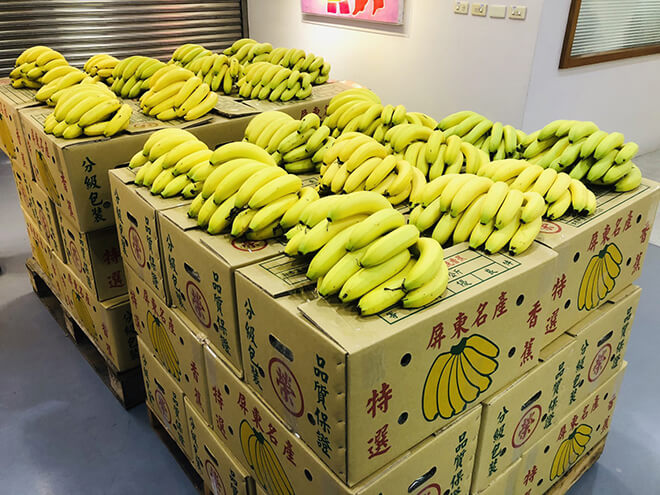 挺蕉農 做愛心。