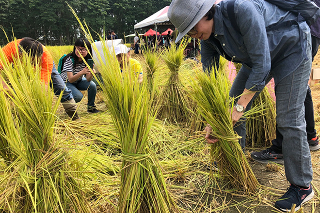 響應全球永續發展　雷科攜手中山大學挺農村。
