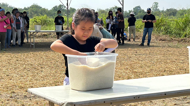 稻殼飄吟：秋風田園交饗宴。
