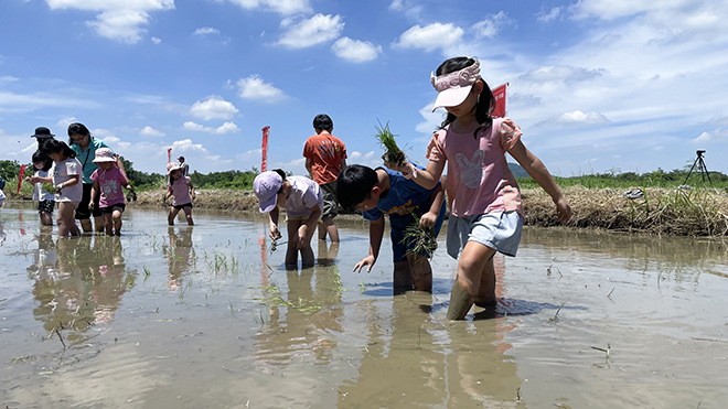 雷科攜手中山大學辦理鳳林國小向日葵活力營種夏活動。