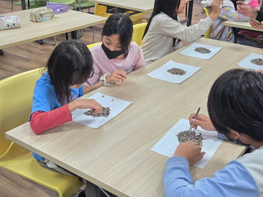 永續種子萌芽！獅甲國小學童攜手創作海廢藝術《星夜》。