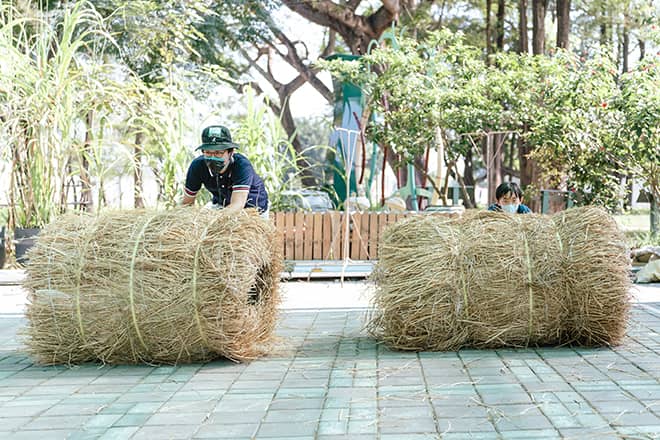 金風稻歌賀豐收×秋收田園音樂會。