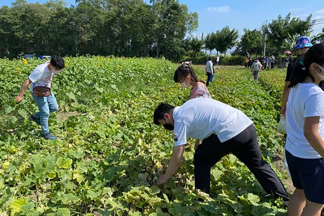 金風稻歌賀豐收×秋收田園音樂會。