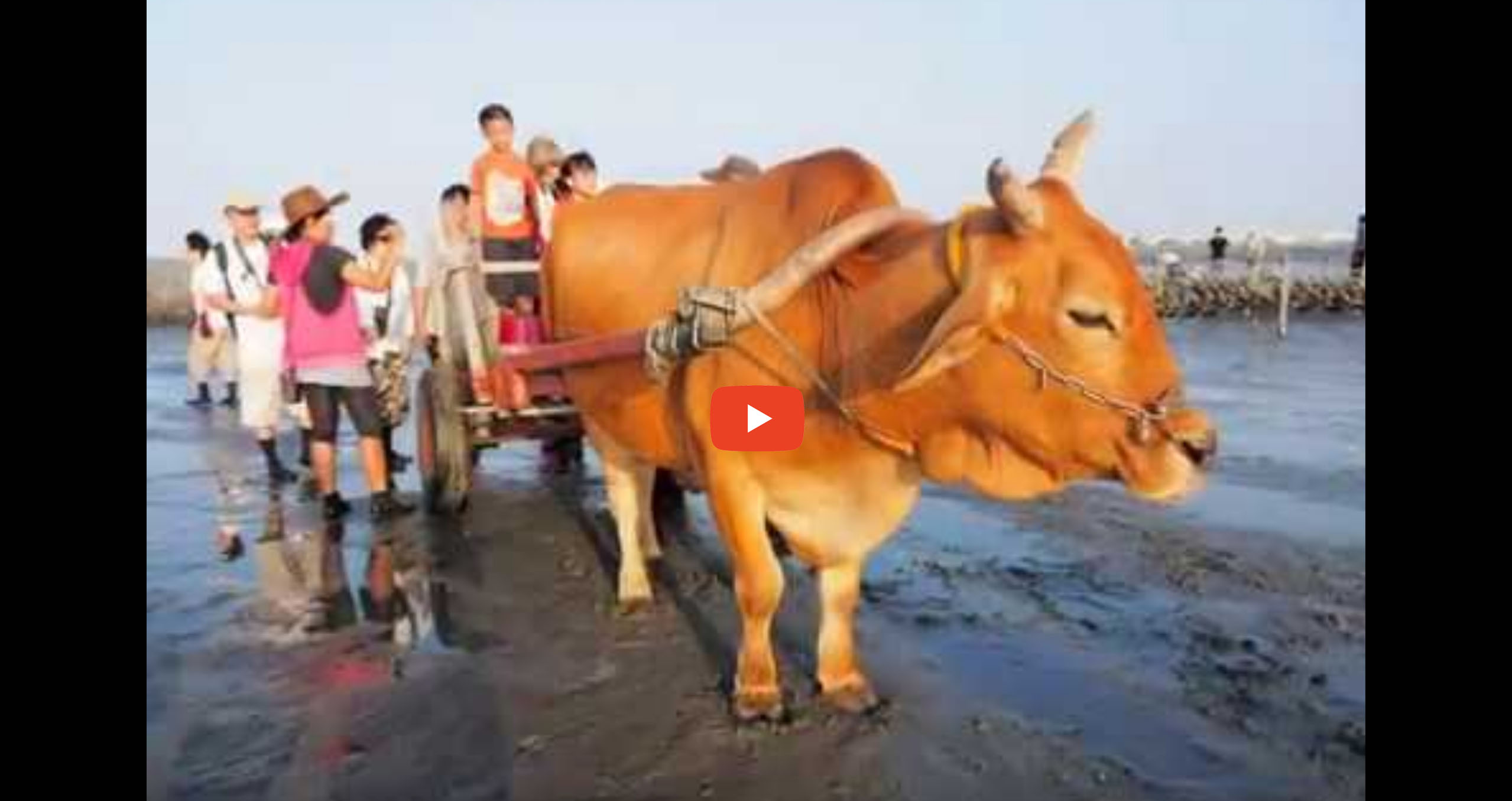 2013 Family Day_One-day Tour to Changhua in October