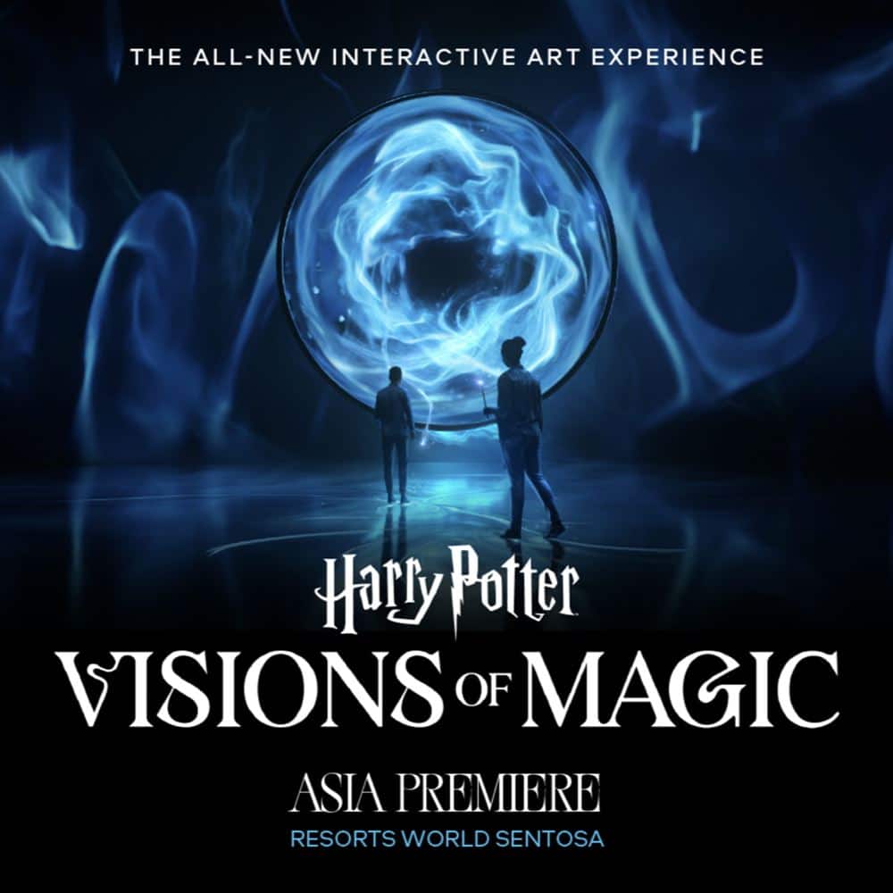 Harry Potter: Visions of Magic