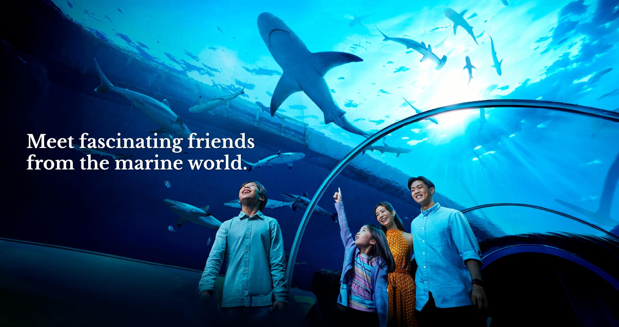 SEAA-main-masthead-1440x760