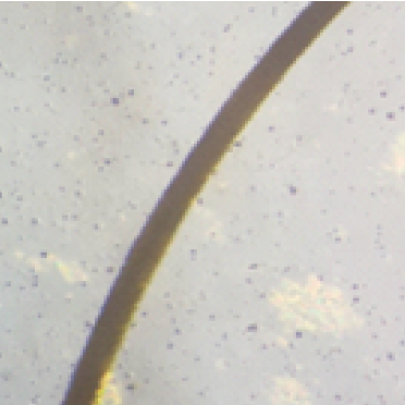 Protective film cutting