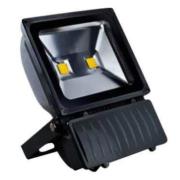 LED flood light