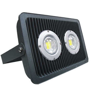 LED COB downlight-100W